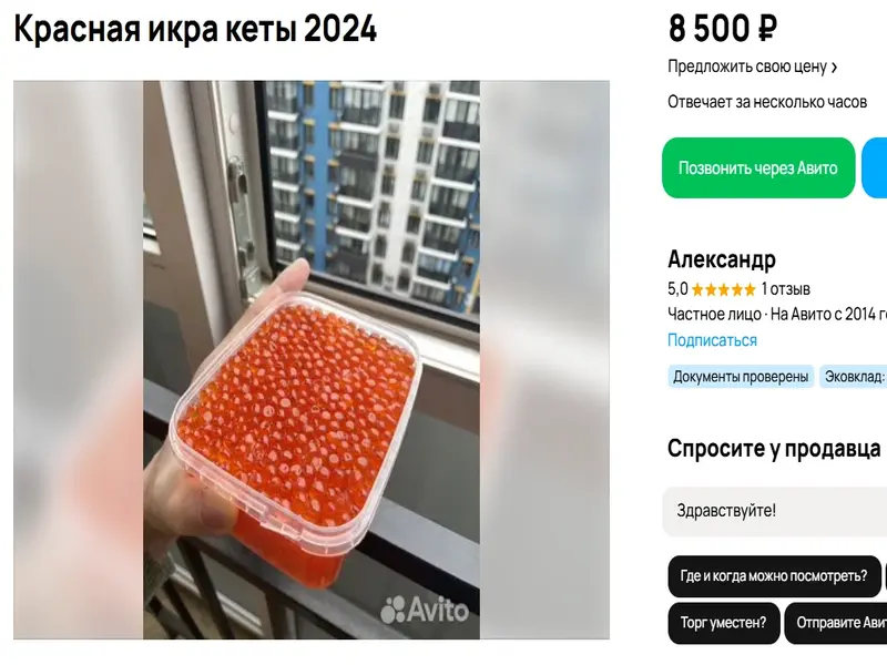 avito ikra2 1