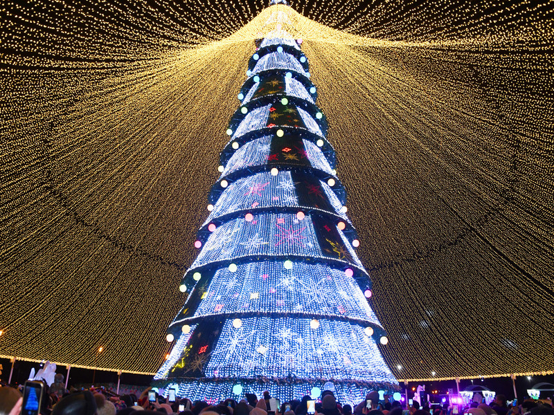 christmas tree