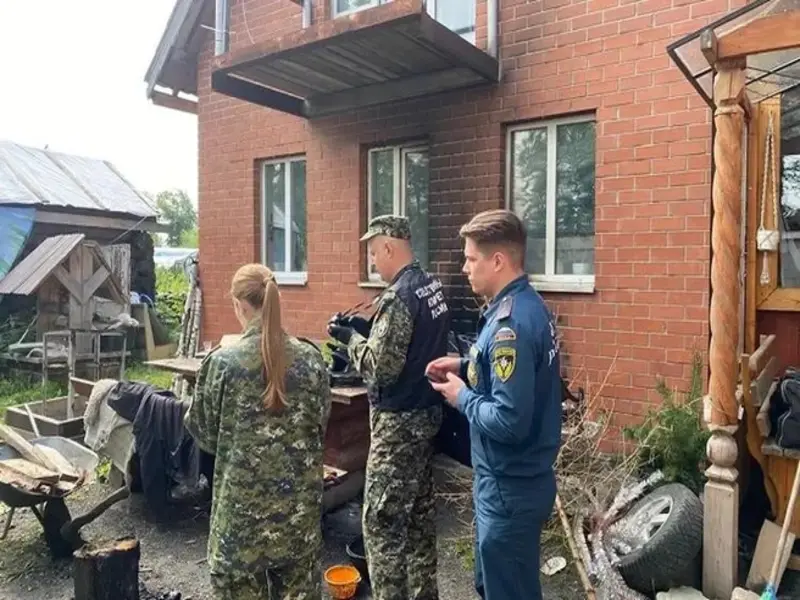 kuzino 1